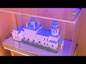 Митрополит Челябинский и Миасский Никодим совершил чин освящения закладного камня в основании храма на территории городской больницы №1