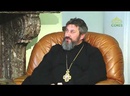 Церковь и общество. Беседа с епископом Клинским Стефаном. Часть 2