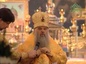 В Казанском кафедральном соборе Северной столицы отметили праздник Собора Петербургских святых