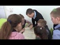 270 арсеньевских школьников стали участниками тематических бесед ко Дню православной книги. 