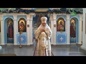 Митрополит Викентий посетил с рождественским визитом Свято-Владимирский храм