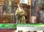 В Свято-Успенском кафедральном соборе Ташкента молитвенно почтили память преподобных отцов Киево-Печерских