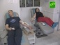Байкеры города Кушвы стали донорами крови