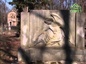 Старинное русское Покровское кладбище Риги хранит историю православия на Латвийской земле
