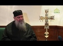 Архипастырь. Беседа с митрополитом Лимассольским Афанасием