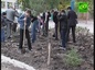 Первоклассники первой Астраханской гимназии высадили во дворе школы 200 кустов королевского цветка 