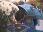 В астраханском селе Началово встретили ковчег с частицей мощей преподобного Серафима Саровского