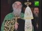Сербская Православная Церковь обрела нового Предстоятеля