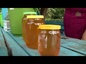 На пасеке Керенского Тихвинского мужского монастыря начался сбор нового урожая мёда